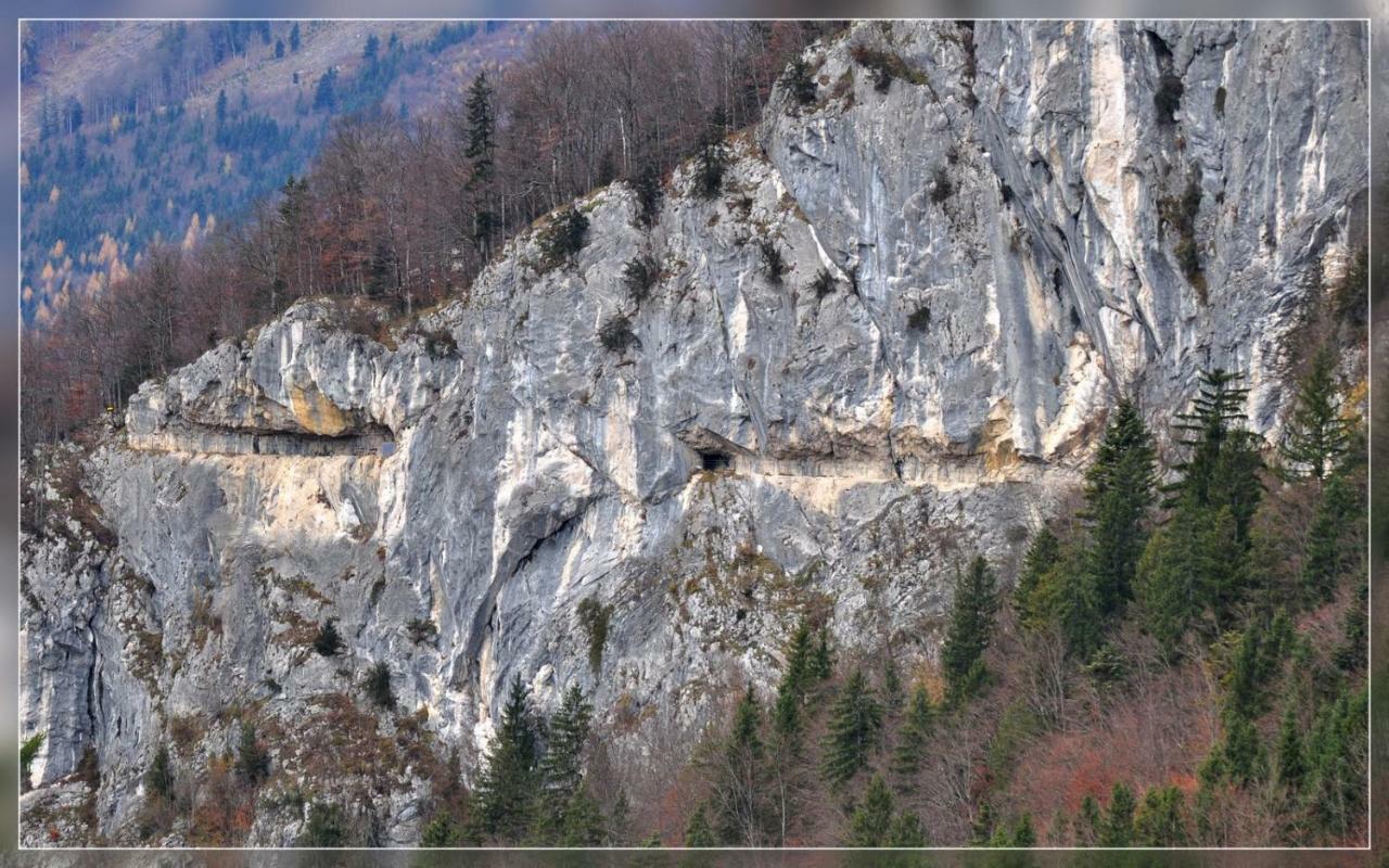 Hostel-Badgoisern1 バート・ゴイーザーン エクステリア 写真